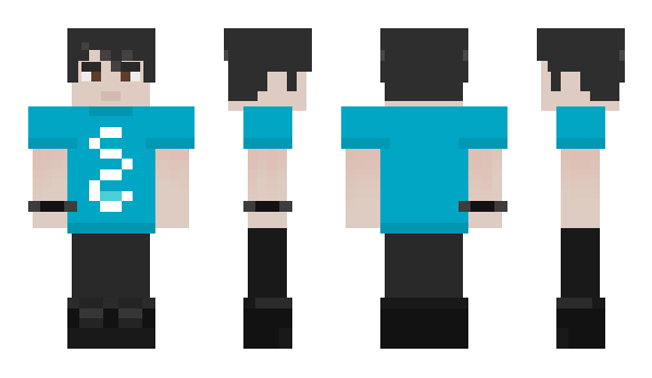 Minecraft skin Helsas