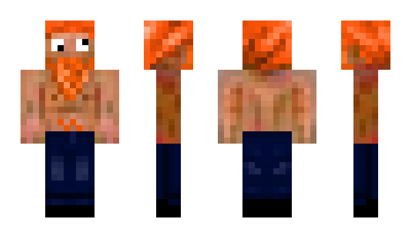 Minecraft skin Toiva