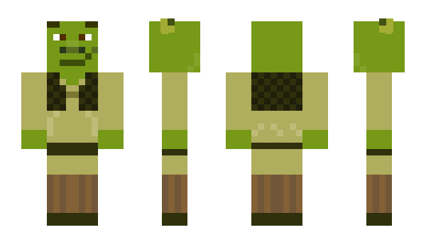 Minecraft skin Awacon