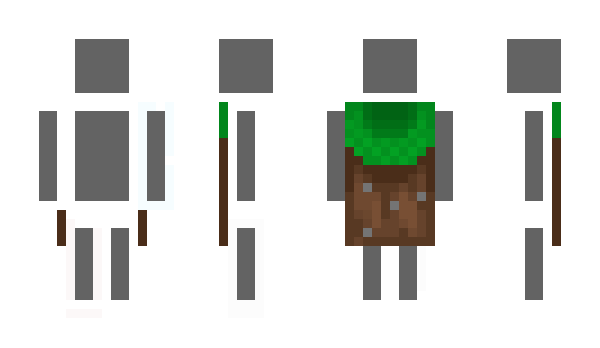 Minecraft skin WrinkledTE