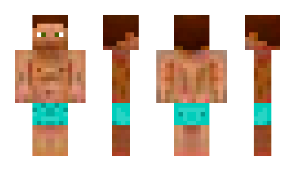 Minecraft skin TheNigos