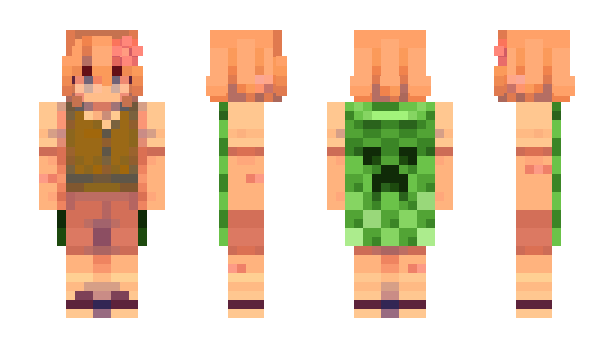 Minecraft skin erc69