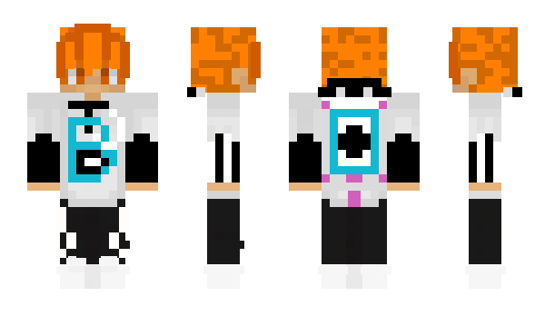 Minecraft skin sepam