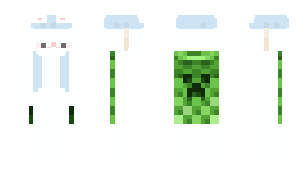 Minecraft skin fridashusband