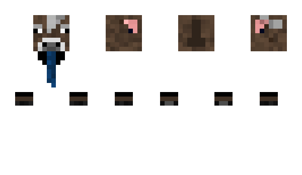 Minecraft skin Lirul