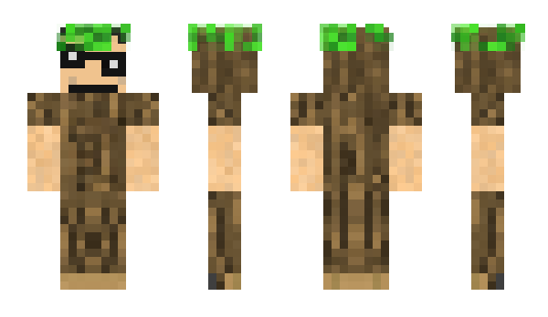 Minecraft skin kroest