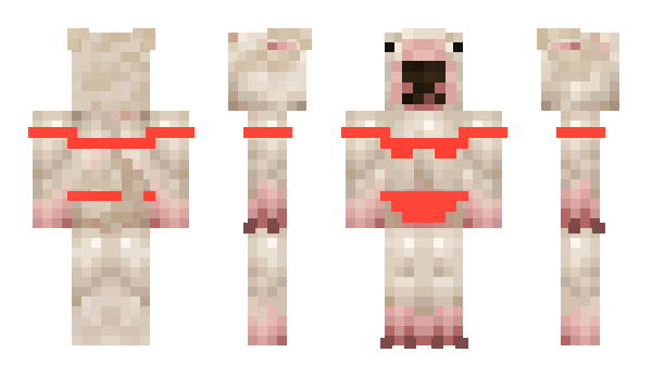 Minecraft skin assest