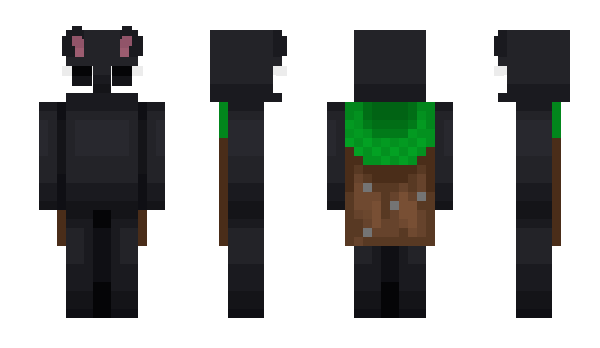 Minecraft скин по нику cisco6