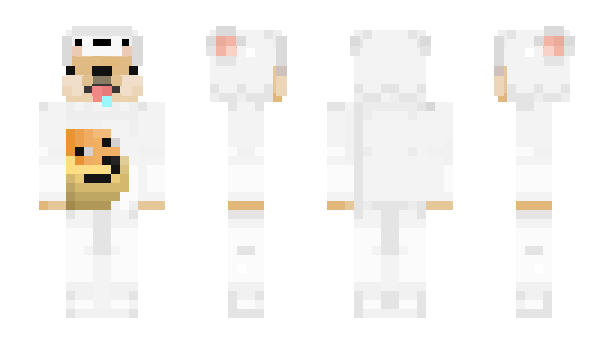 Minecraft skin MPA