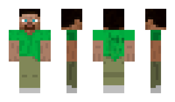 Minecraft skin raycoms