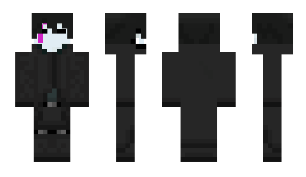 Minecraft skin GEKKO