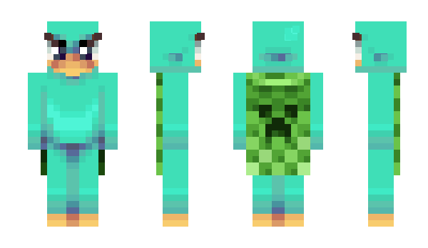 Minecraft skin DvSpiderr