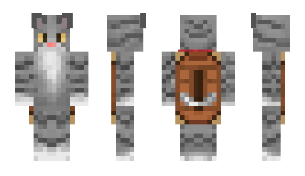 Minecraft скін по ніку Csooti