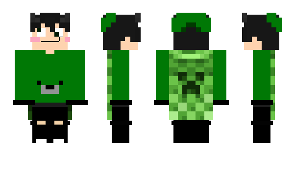 Minecraft skin TeamFalcon