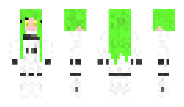 Minecraft skin Vraft