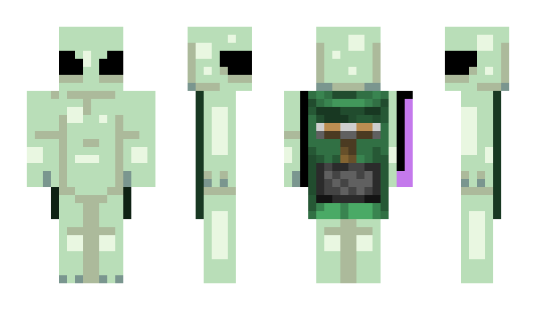 Minecraft skin wherewithal