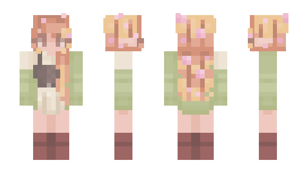 Minecraft skin ashmina