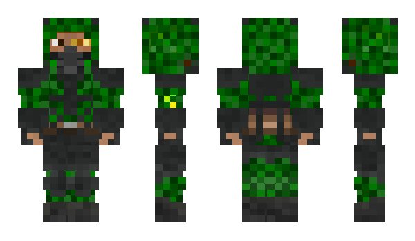 Minecraft skin Asvort