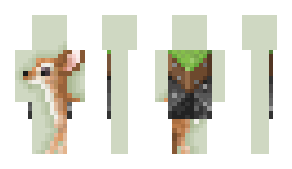 Minecraft скин по нику NewPole