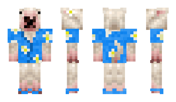 Minecraft skin xGar