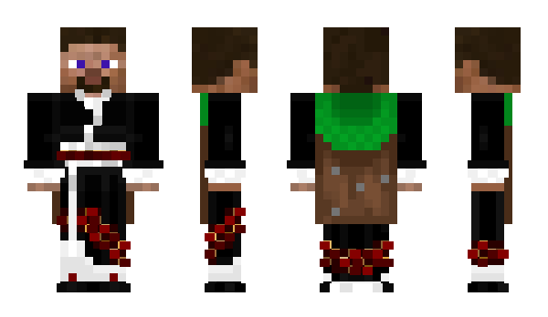 Minecraft skin sfkit