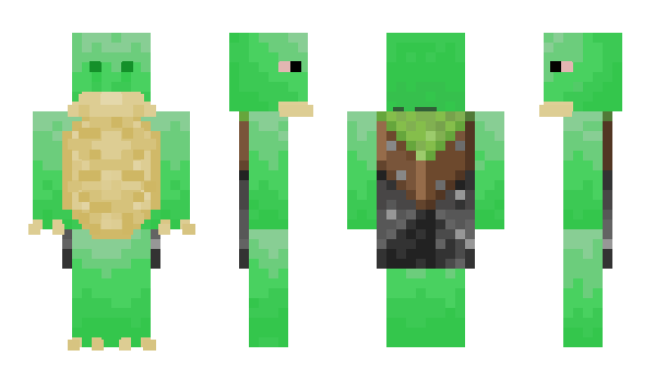 Minecraft skin TurtleLover11