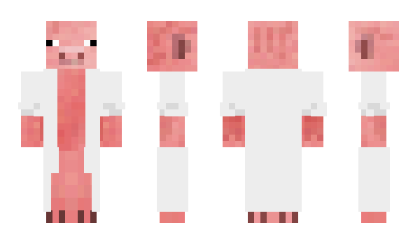 Minecraft skin Baska_Pig