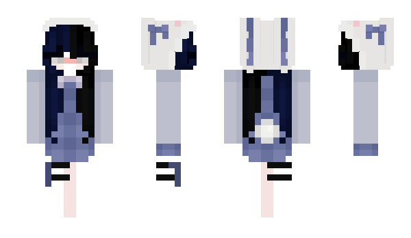 Minecraft skin WNaNW