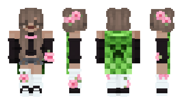 Minecraft skin Cre4myUSB