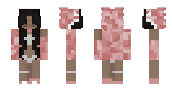 Minecraft skin dogryan5