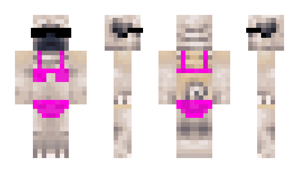 Minecraft skin SexiestPug