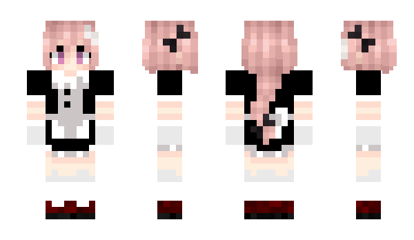 Minecraft skin PlGCAT