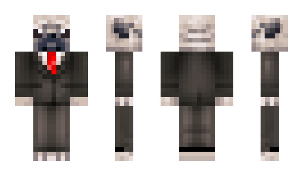 Minecraft skin Magnusadhd