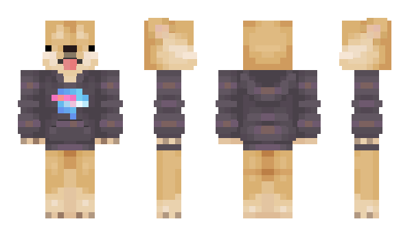 Minecraft skin providie