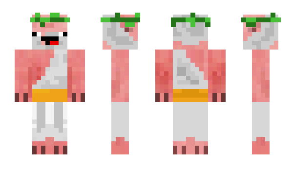 Minecraft skin DrPork