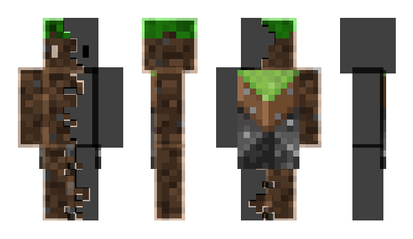 Minecraft skin Dashild