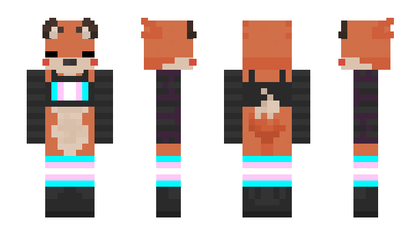 Minecraft skin matryko