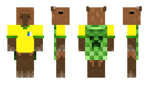 Minecraft skin seete