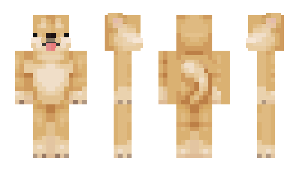 Minecraft skin Trumppi