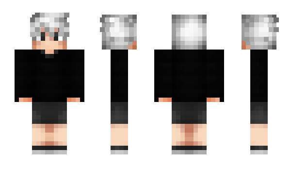 Minecraft skin Pisy