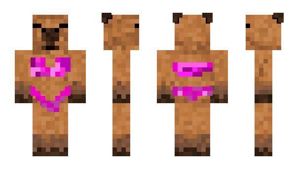 Minecraft skin ttyl