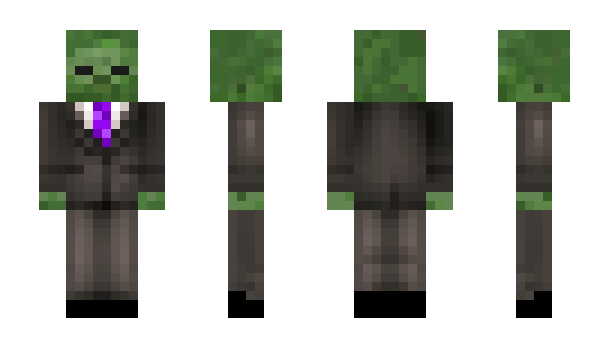 Minecraft skin Nard