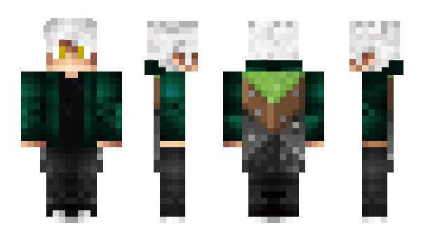 Minecraft skin l1ratch