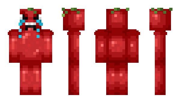 Minecraft скин по нику domatess