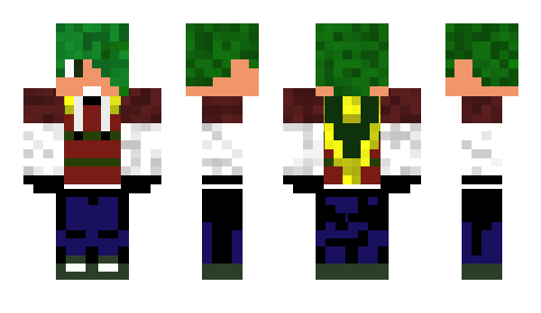 Minecraft skin VTer