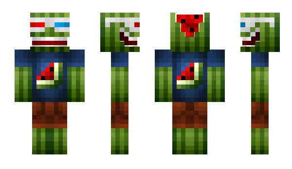 Minecraft skin hooper947