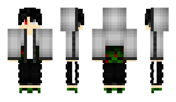 Minecraft skin RM_Color
