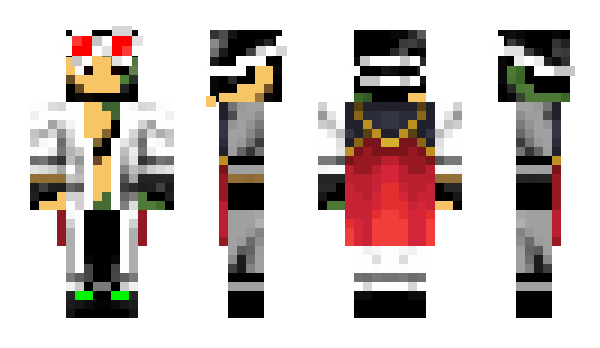 Minecraft skin _Z1