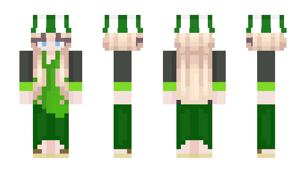 Minecraft skin qvims