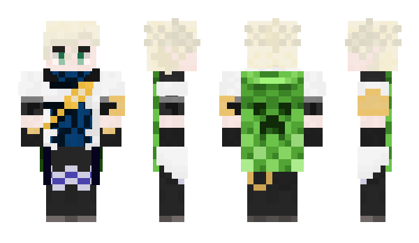 Minecraft skin wddwa